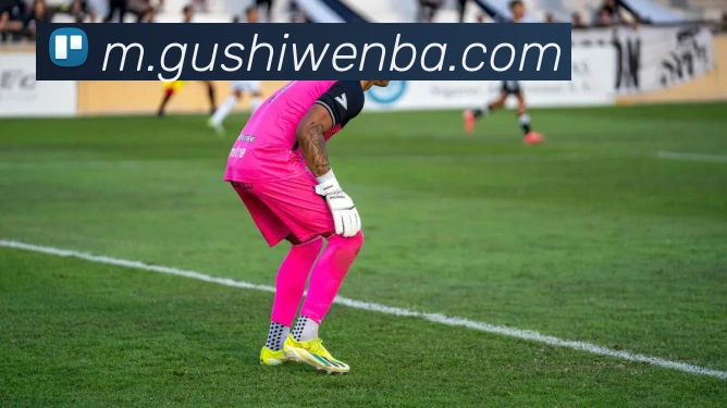 App Interface Preview